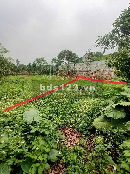 Thửa đất tại thôn Quán Khê Dương Quang Gia Lâm 176,5m2 giá 2,3 tỷ