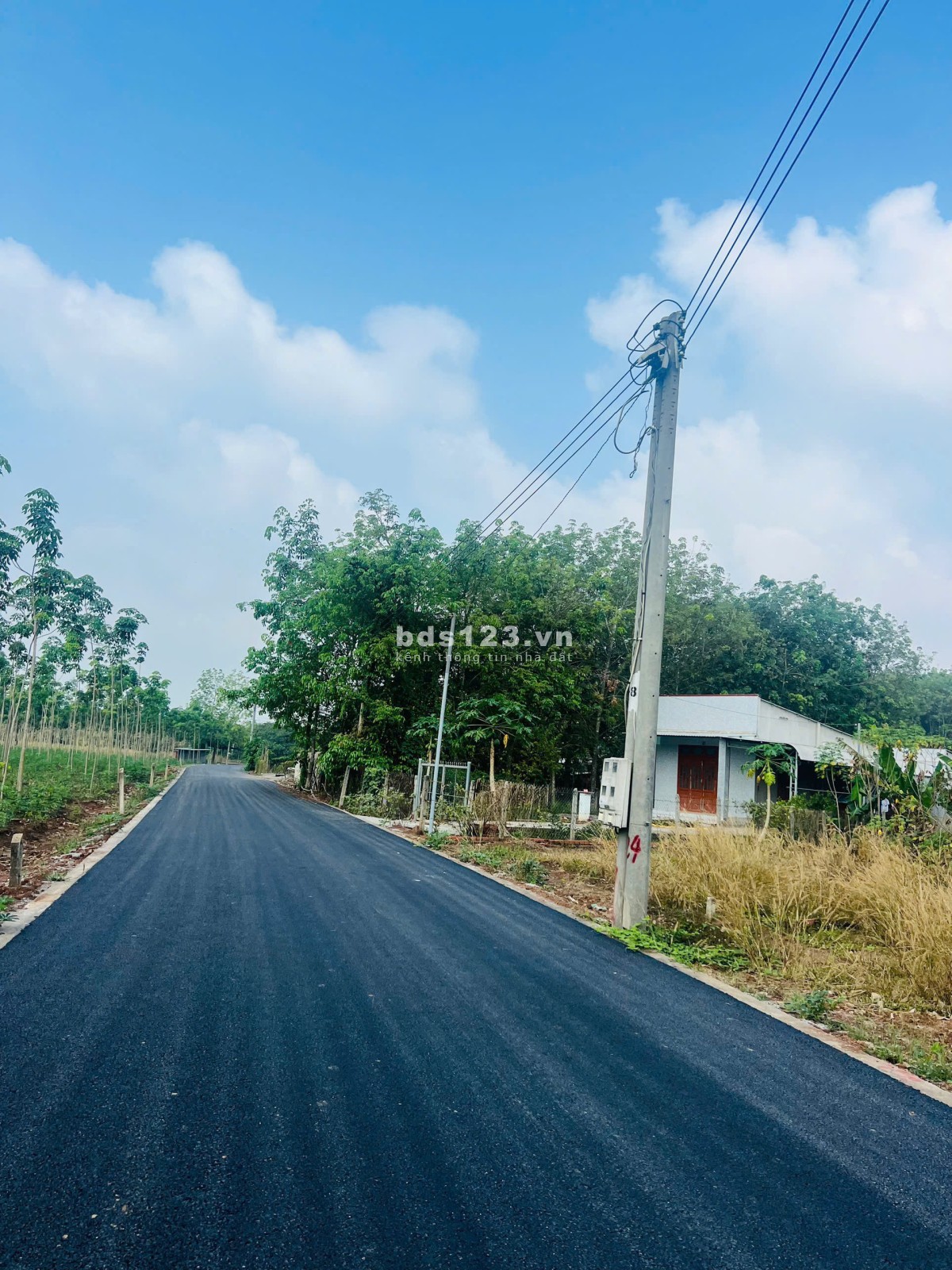 Chủ đang kẹt tiền ngân hàng cần bán gấp 2200m2 đất thổ vườn đường nhựa 15m hiện hữu
