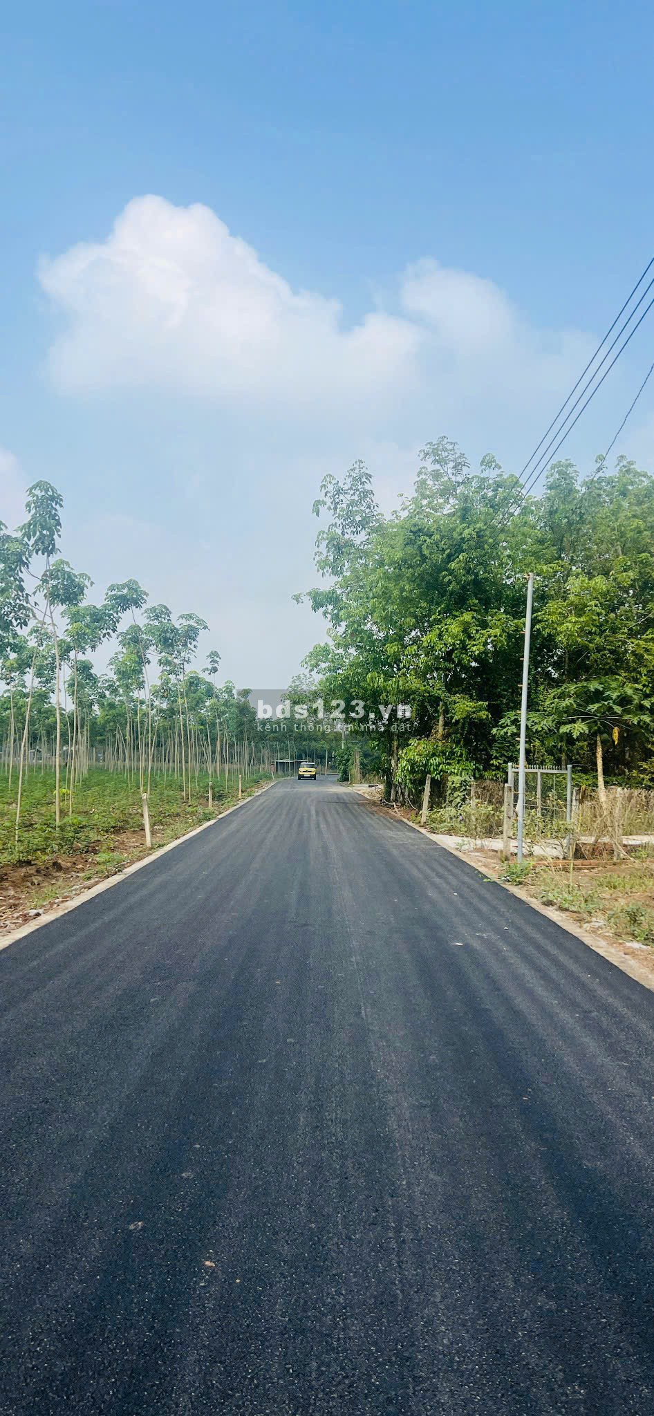 Chủ đang kẹt tiền ngân hàng cần bán gấp 2200m2 đất thổ vườn đường nhựa 15m hiện hữu