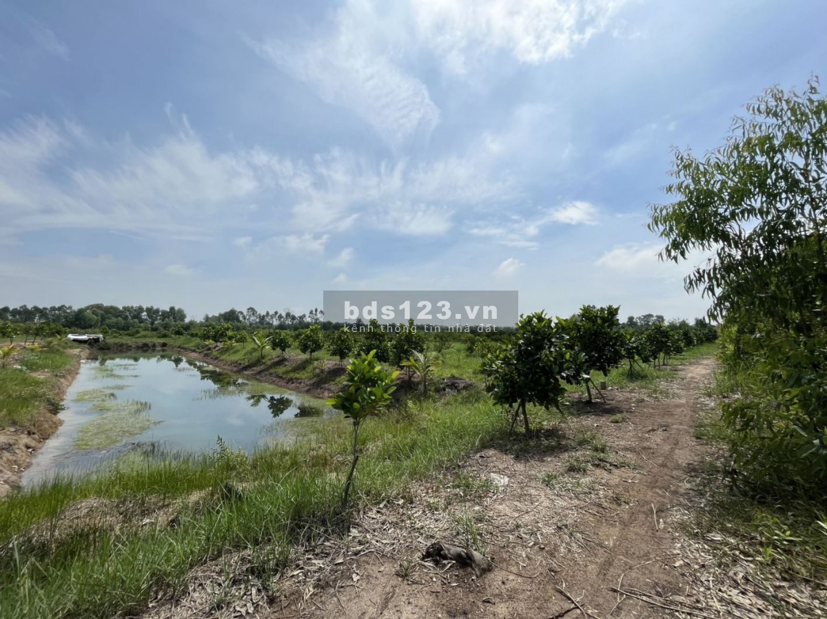 Bán đất vườn gần làng Du lịch Sinh thái Ông Đề