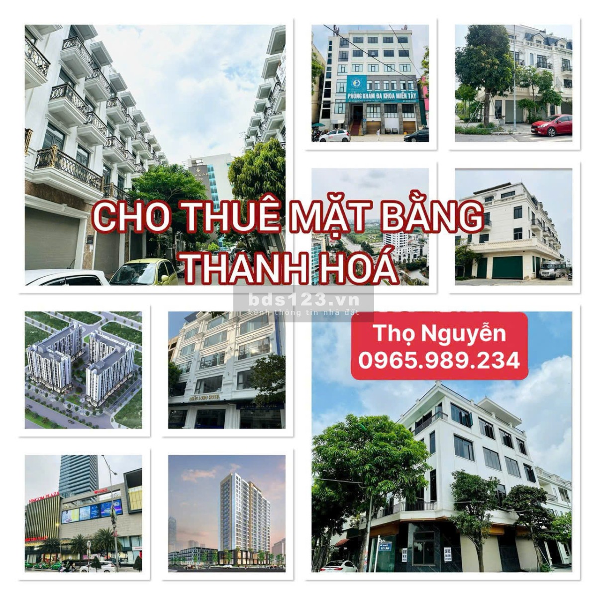 Cập nhật bảng hàng cho thuê nhà tại Tp Thanh Hóa