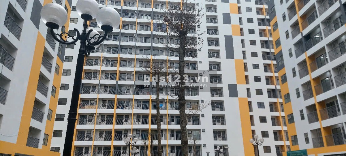 Mở bán nhà ở xã hội Evergreen ở Tràng Duệ Hải Phòng