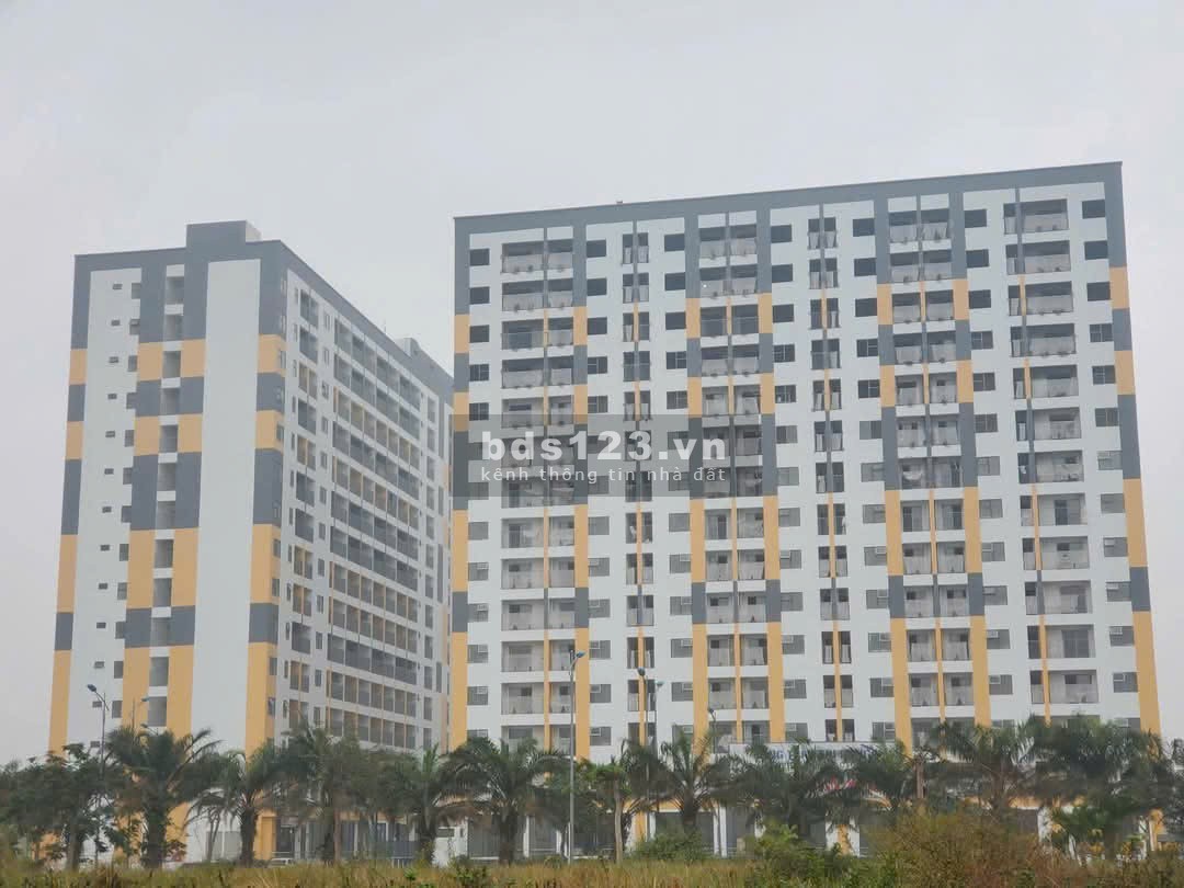 Mở bán nhà ở xã hội Evergreen ở Tràng Duệ Hải Phòng