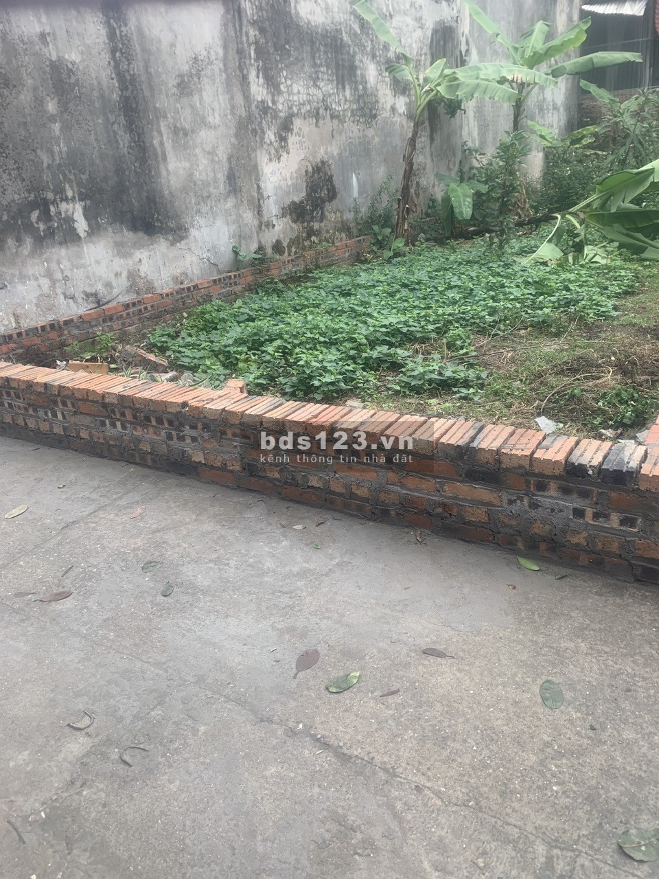 Bán mảnh 79M2, MT 4.5M, 50 TC, xóm Đường, Nguyên Khuê, gần trục chính, ô tô đỗ cửa, giá 5X