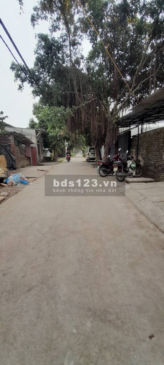 Bán nhà Cấp 4 - Hữu Hòa, Thanh Trì, Hà Nội – 51M² – Gía chỉ 1.150 tỷ