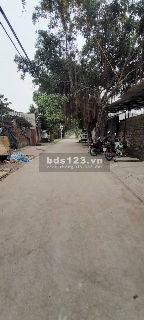 Bán nhà Cấp 4 - Hữu Hòa, Thanh Trì, Hà Nội – 51M² – Gía chỉ 1.150 tỷ