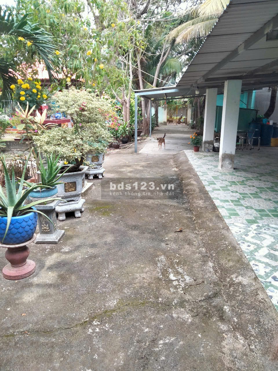 Cần bán gấp nhà cấp 4 68m3 380tr: 1pn,1pk,1pb