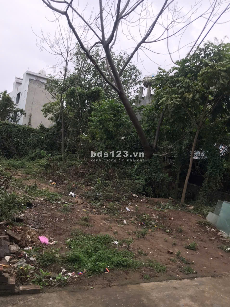 Cần bán mảnh đất 55 M2 tại phố Bắc Cầu, giá 4.2 tỷ, ngõ ô tô vào