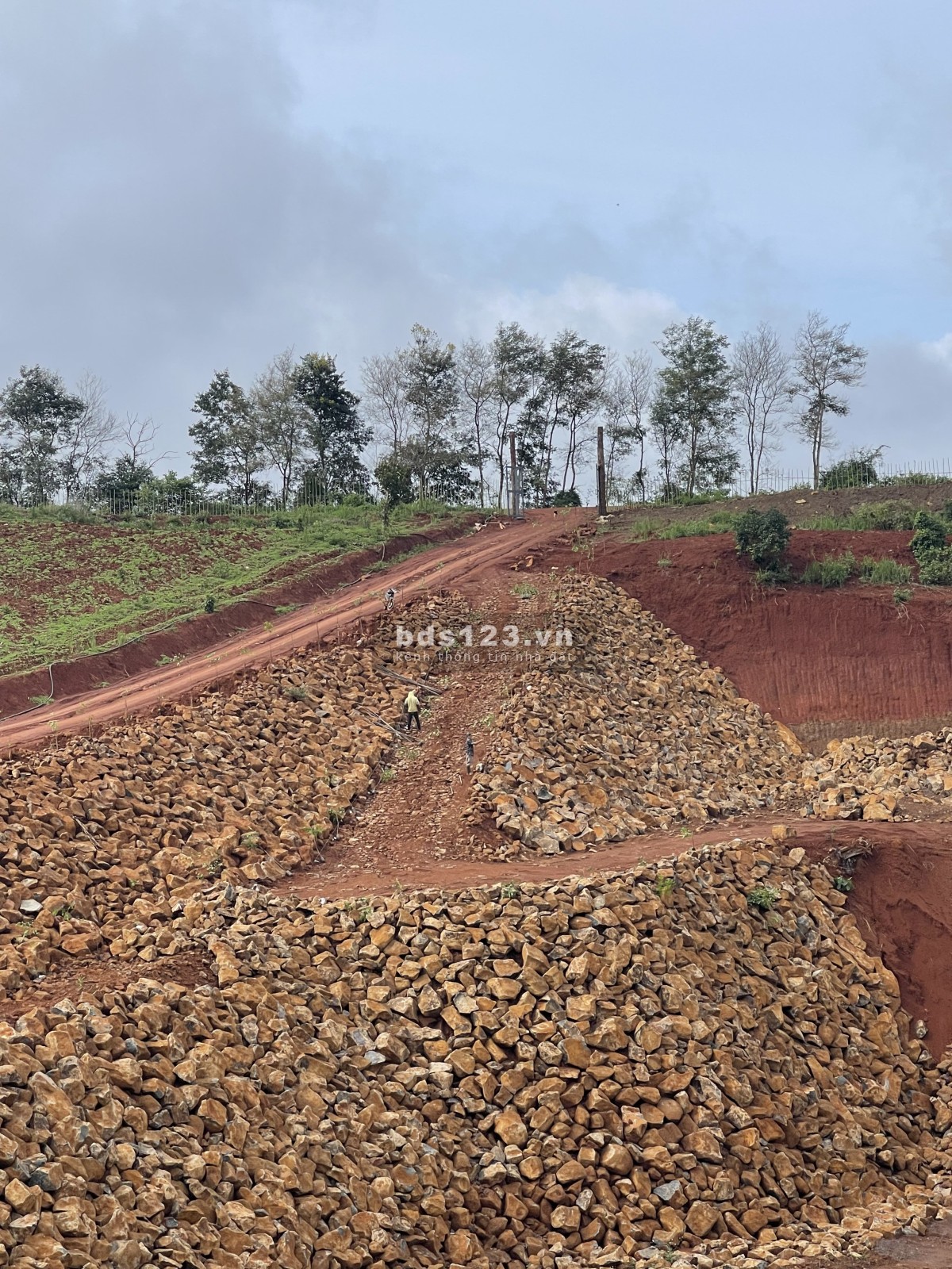 Bán đất 7ha – Có ao, đập tràn, cà phê & mắc ca – Vị trí đẹp