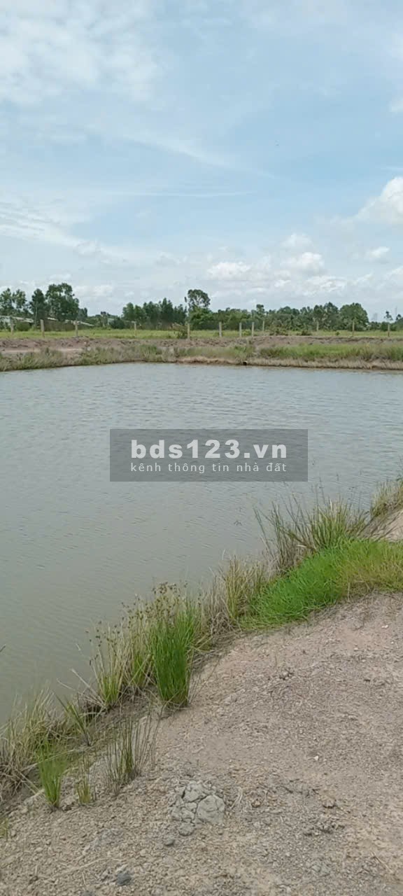 Cho thuê trang trại có nhà, có vườn địa chỉ: Tân Qui Hạ, Tân Phú, Đức Hòa, Long An gần KCN Trần Anh