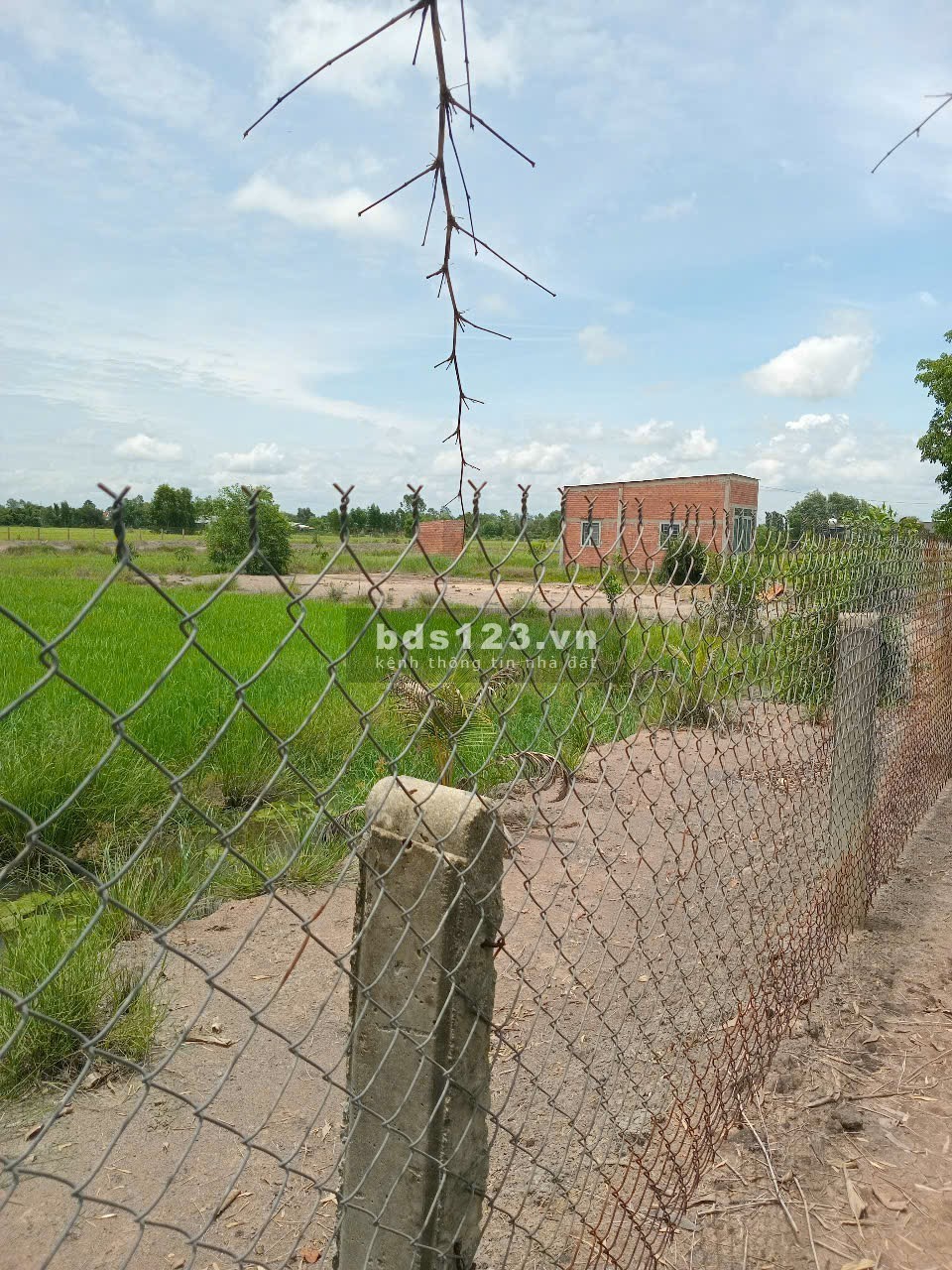 Cho thuê trang trại có nhà, có vườn địa chỉ: Tân Qui Hạ, Tân Phú, Đức Hòa, Long An gần KCN Trần Anh