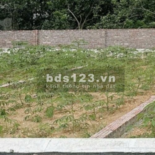 Em Bán Mảnh Đất Thổ Cư thôn Sen Trì, xã Yên Bình, huyện Thạch Thất, Dt 60m2, Giá Chỉ 1,9Tỷ