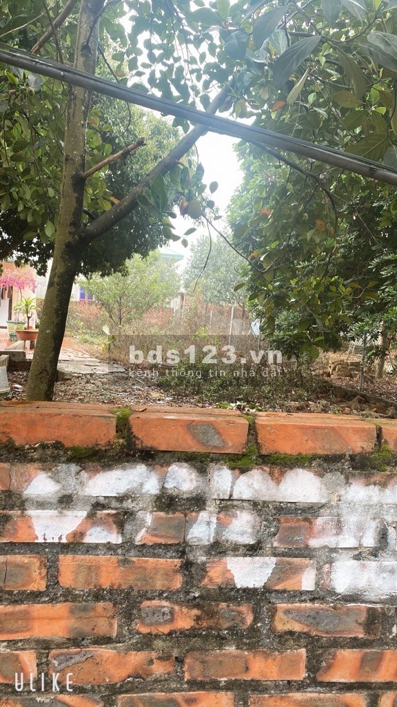 Cần bán lô đất đẹp tại Yên Mỹ, Bình Yên, Thạch Thất, Hà Nội, DT 205m2, Giá Chỉ 3,35Tỷ