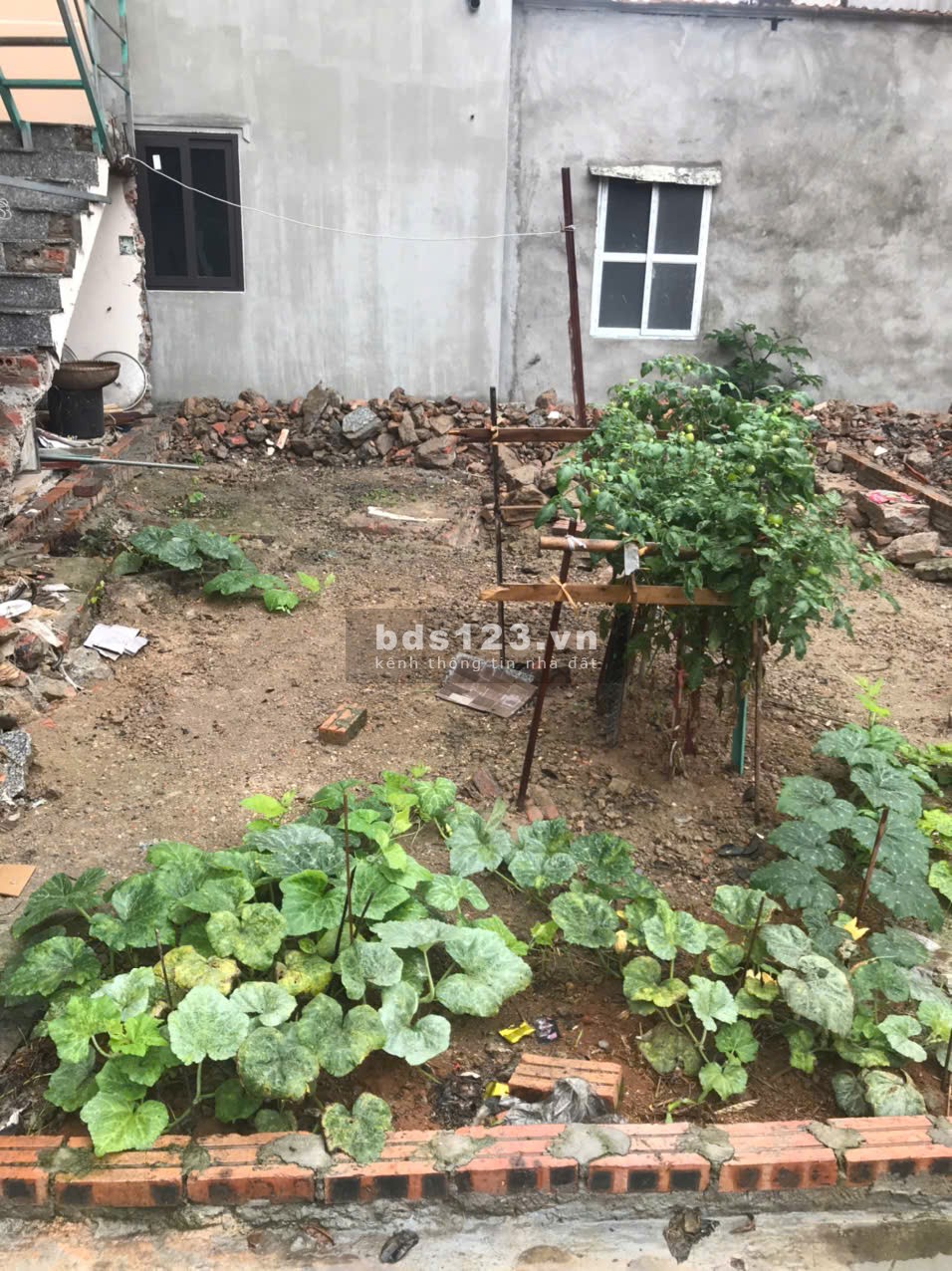 Bán đất phân lô tại Vân Điềm Vân Hà 41 m2 giá; 1.8 tỷ, liên hệ 0979353552