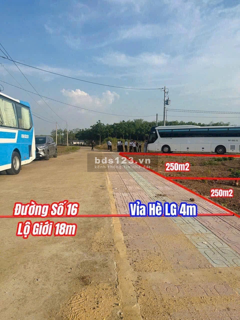 Đất ngộp chủ gửi 250m2 chỉ có 538 triệu, sổ sẵn công chứng ngay, ngân hàng hỗ trợ 70%