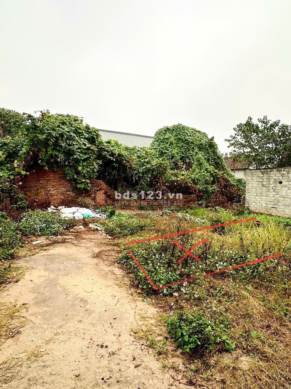 Bán lô đất 42.6 M2, MT4.5 Mai Lâm, Đông Anh, ngõ ô tô, sát bìa, giá đầu tư, 0375555372