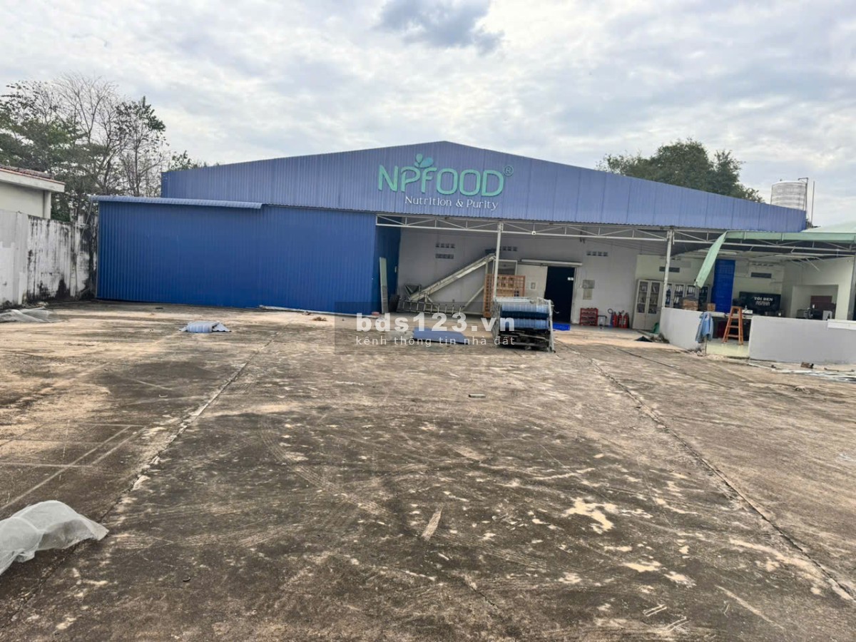 Cho thuê kho xưởng 1.200m2 đường số 45, Tân Thông Hội Củ Chi