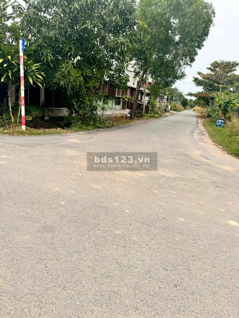 Cho thuê kho xưởng 1.200m2 đường số 45, Tân Thông Hội Củ Chi