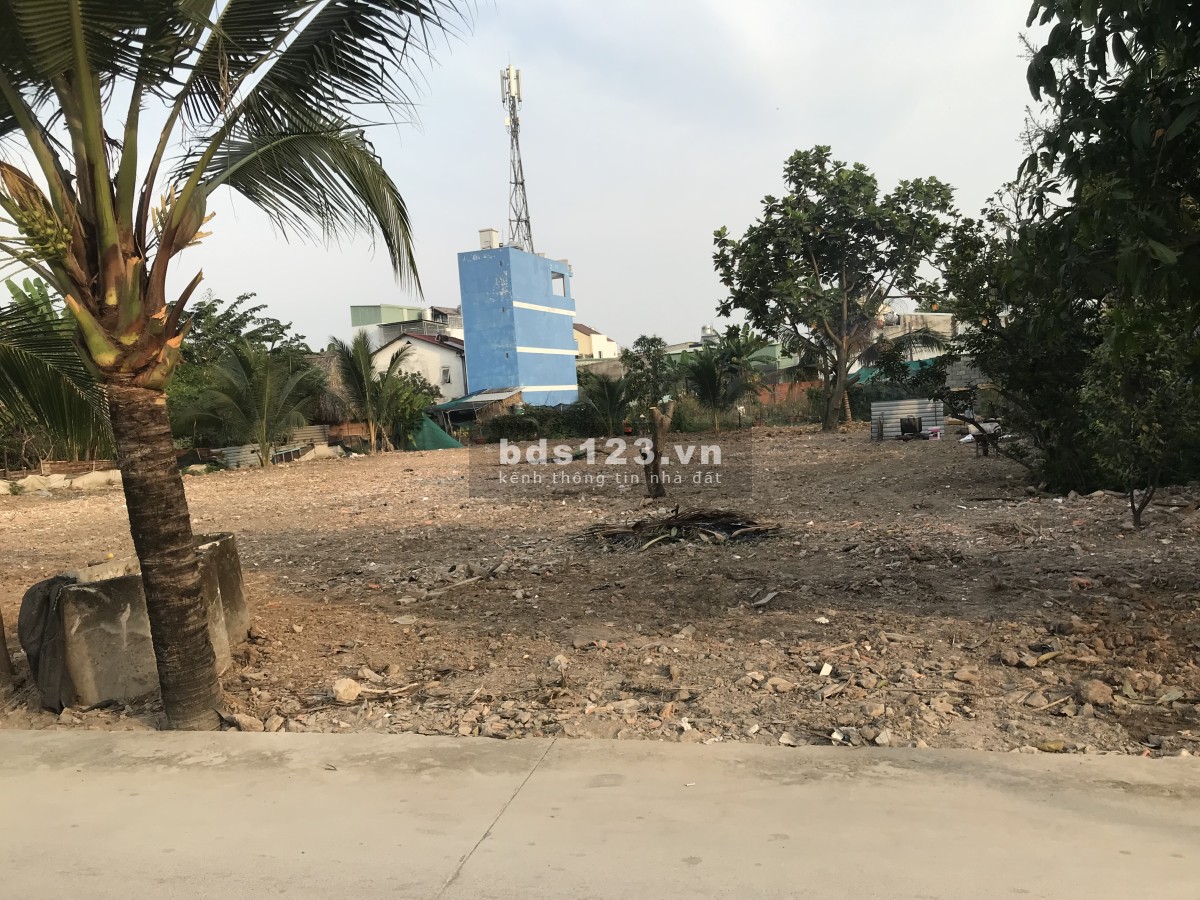Cho thuê đất 800m² tại An Phú Đông, Quận 12 – Đường rộng, giá 10 triệu/tháng