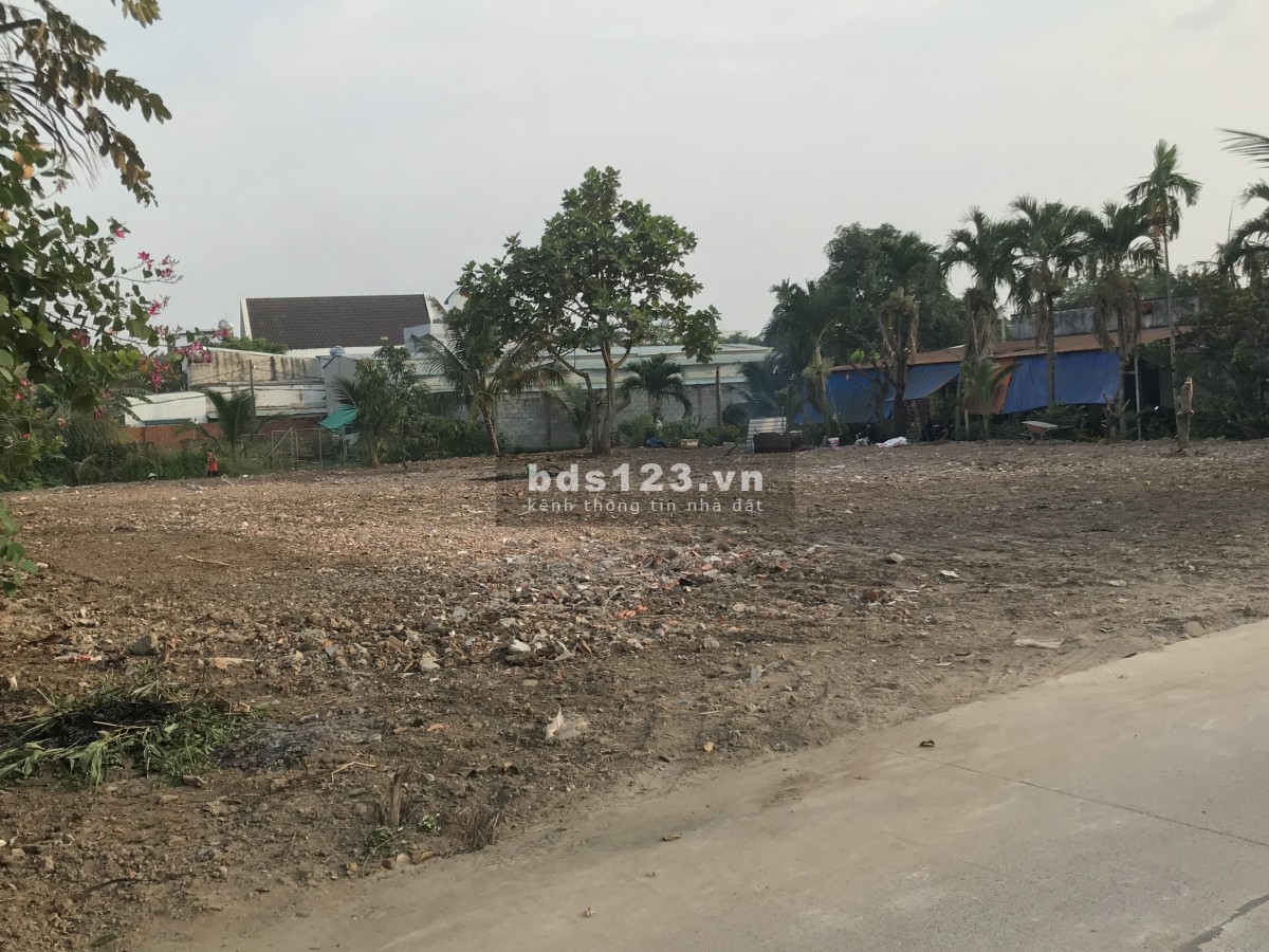 Cho thuê đất 800m² tại An Phú Đông, Quận 12 – Đường rộng, giá 10 triệu/tháng