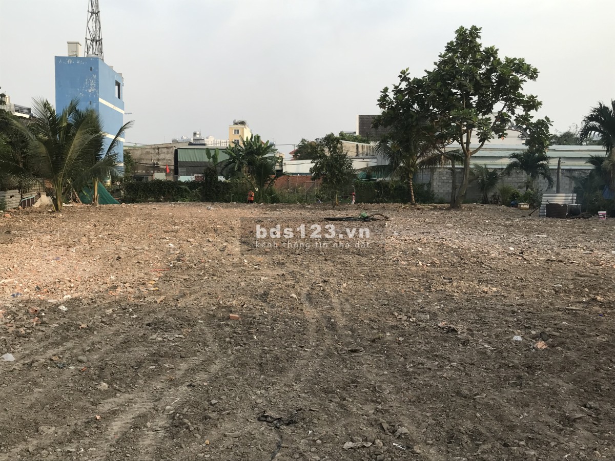 Cho thuê đất 800m² tại An Phú Đông, Quận 12 – Đường rộng, giá 10 triệu/tháng