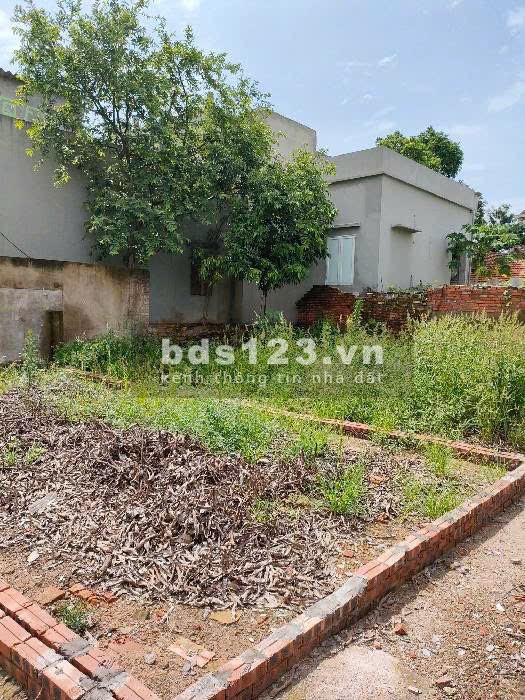 Bán đất vàng trong làng Mỹ Hưng, gần trục đường phía Nam 81M 2,x tỷ