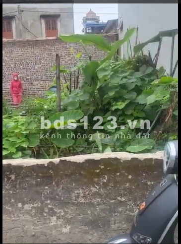 Cần bán lô đất thổ cư 59m tại Đặng Giang, Hoà Phú, Ứng Hoà, Hà Nội