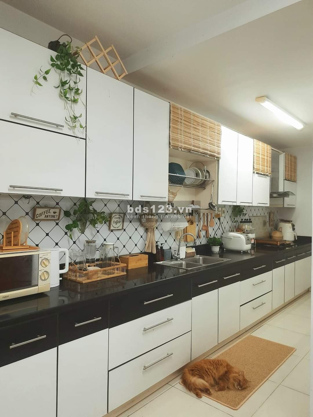 Chung cư Hoa Sen, Lạc Long Quân,Q11: 115m2, 3p ngủ, giá 15tr/th