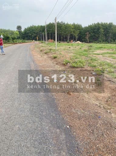 1000m2 đất giá rẻ gần Ngã tư Đồng Xoài, sát mặt tiền DT753 sổ sẵn sang tên ngay