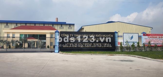 Kẹt tiền bán gấp lô đất 20X46=920M2 thổ cư ODT sát chợ trường học dân đông 540 triệu