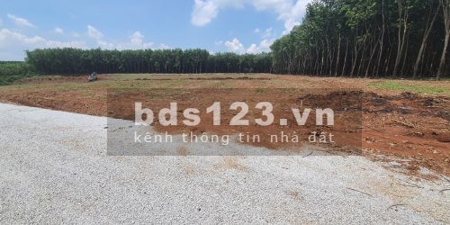 400m2 đất sẵn 100 thổ cư, sổ sẵn giá cực mềm cần sang gấp