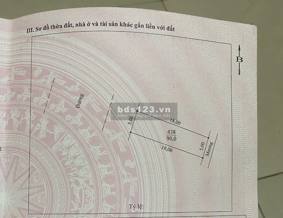 Bán đất nền chính chủ diện tích 90m2 tại khu dân cư Đông Bắc Bích Động