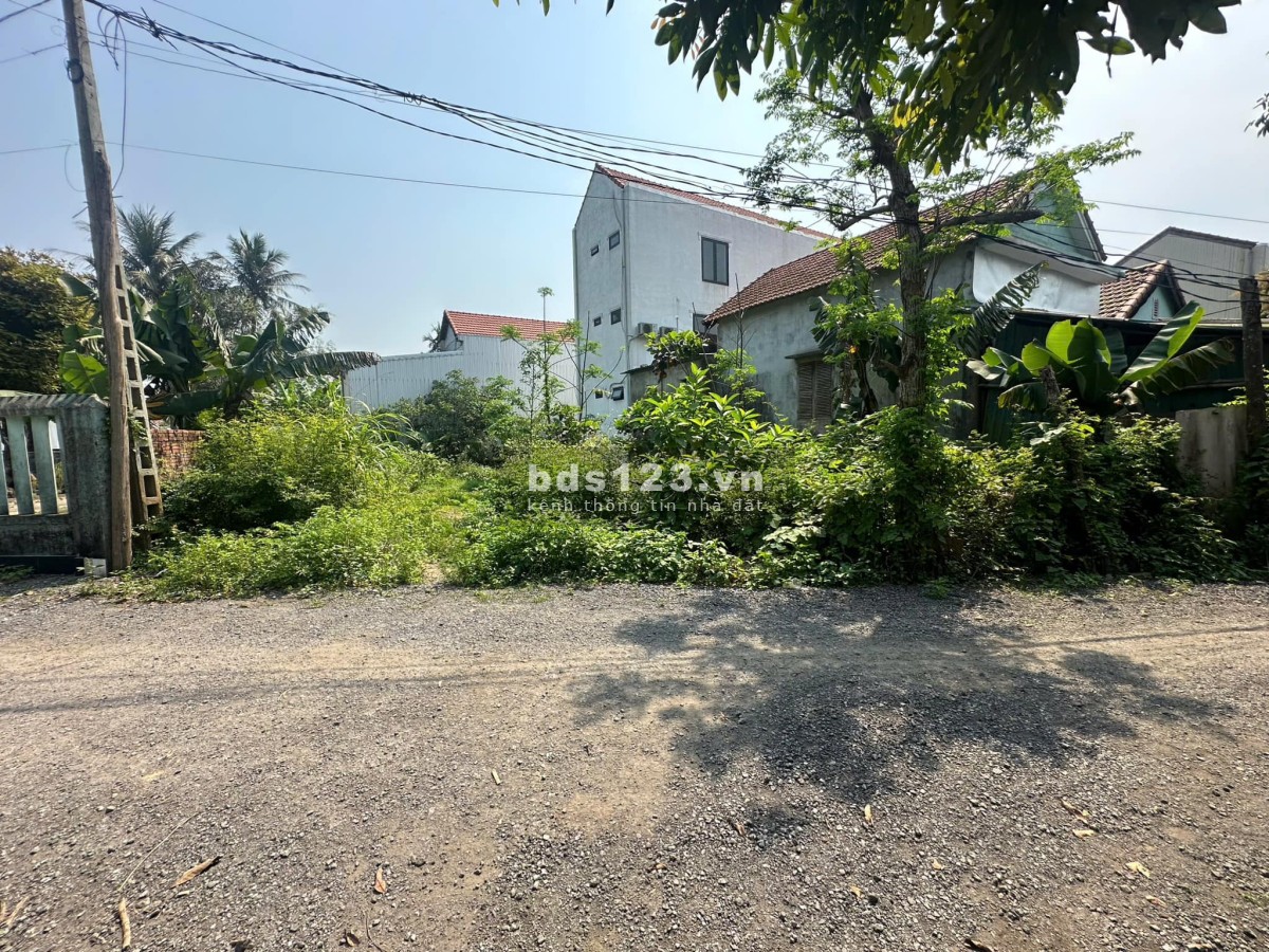 Triều Sơn Tây - An Hoà. Ngay bến xe Phía Bắc, sát Quốc Lộ 1A