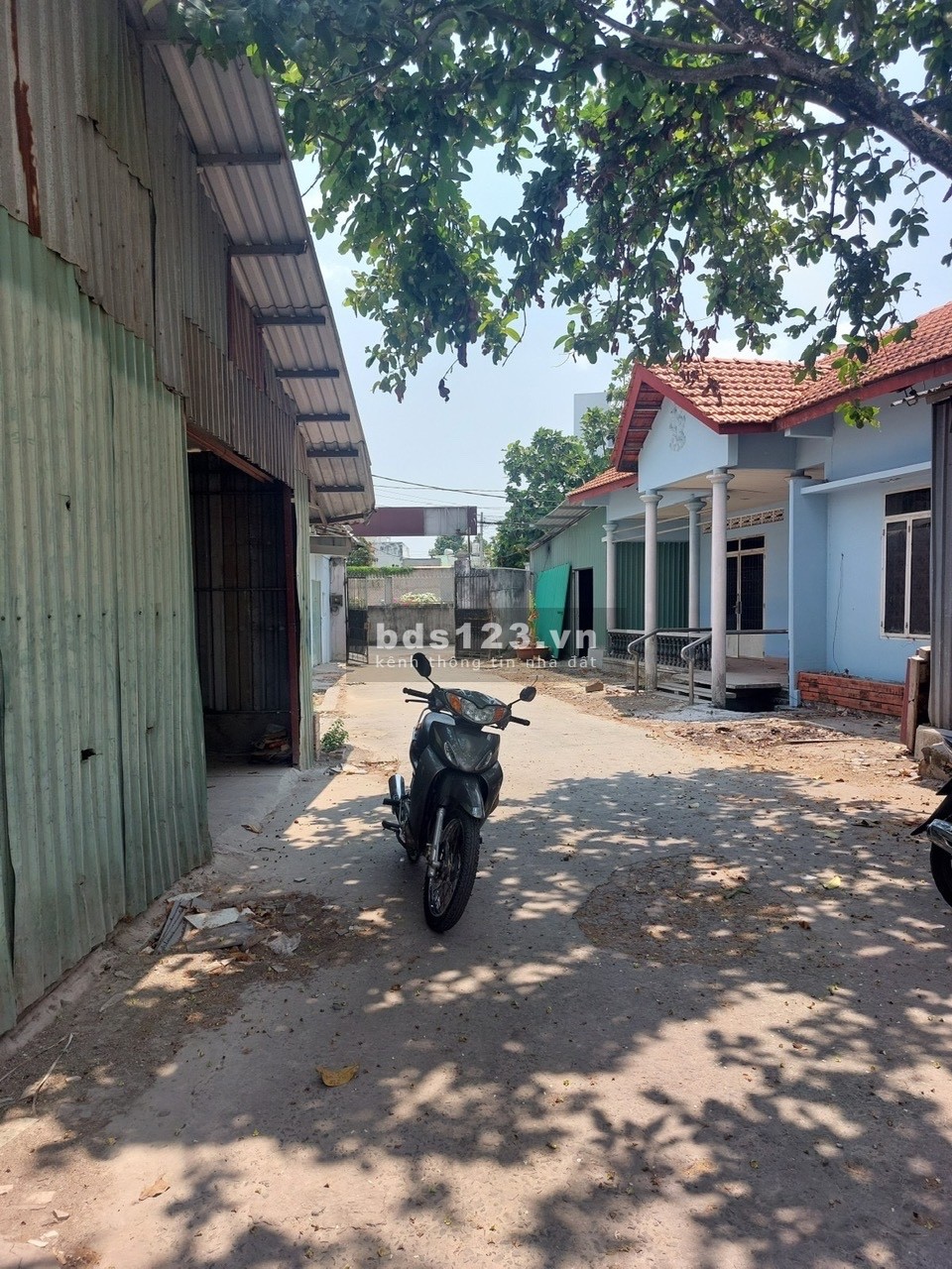 Mặt Tiền Đường Số, 1250m2 thổ cư, Bình Trưng Đông Thủ Đức, Giảm mạnh 50 tr/m2