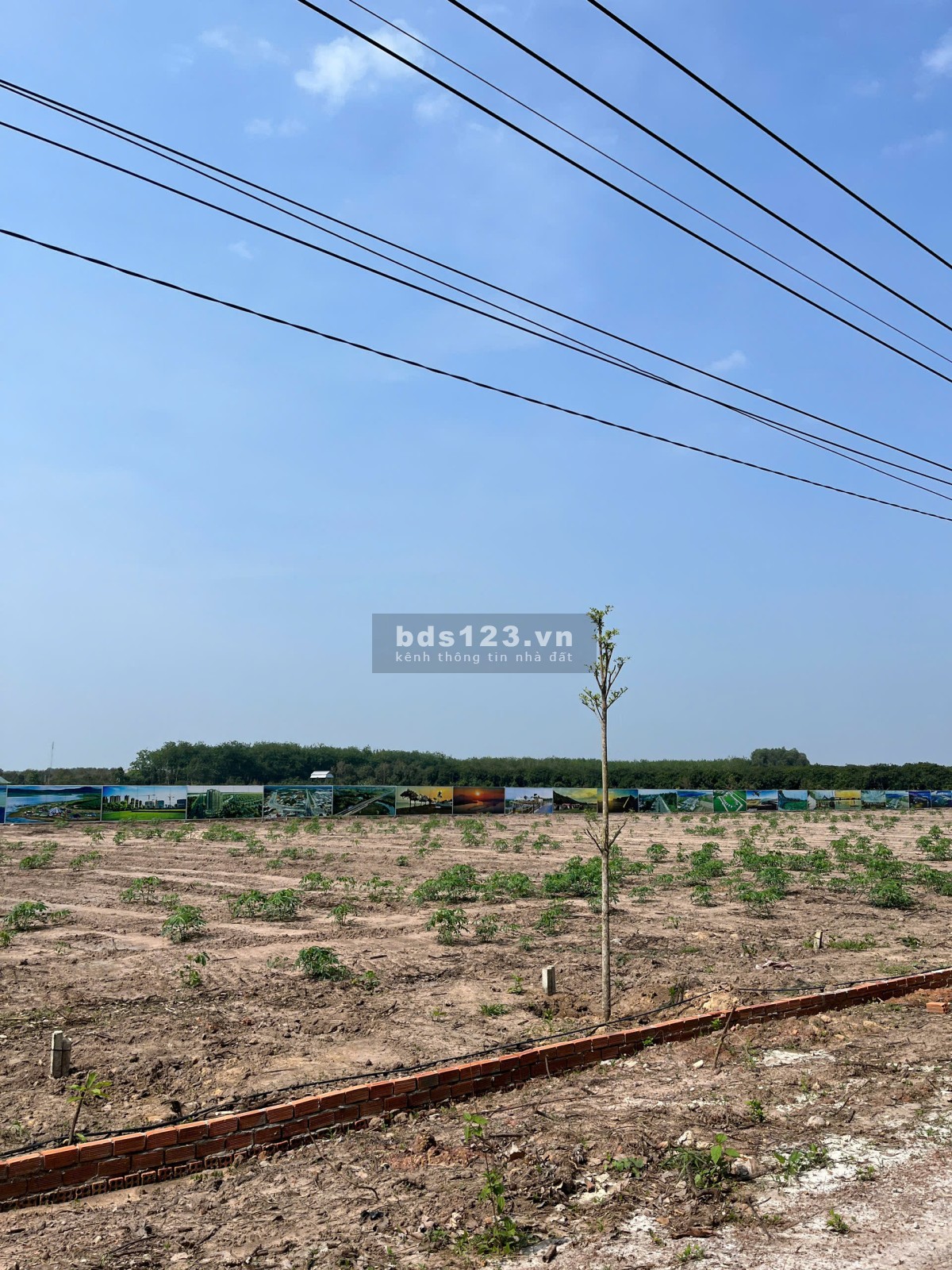 Đất nền Trừ Văn Thố - Bàu Bàng giá rẻ