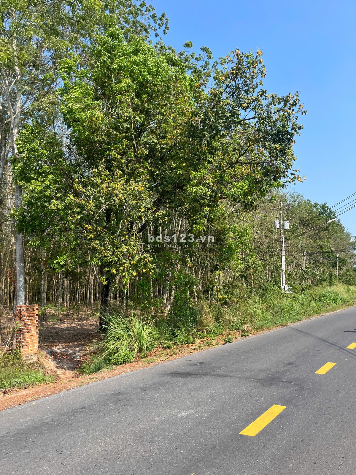 Đất nền Trừ Văn Thố - Bàu Bàng giá rẻ