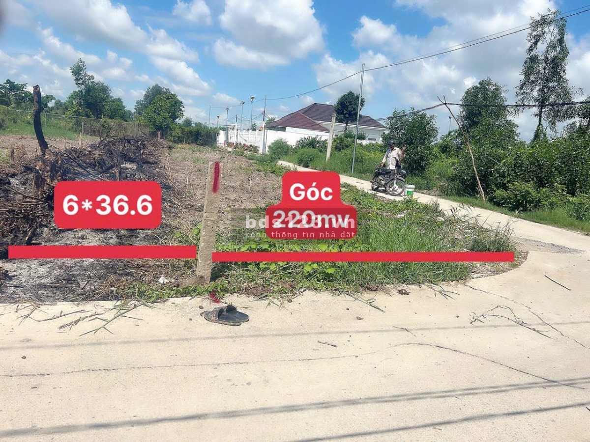 Cần bán lô góc Xã Tân Bình huyện Tân Trụ tỉnh Long An