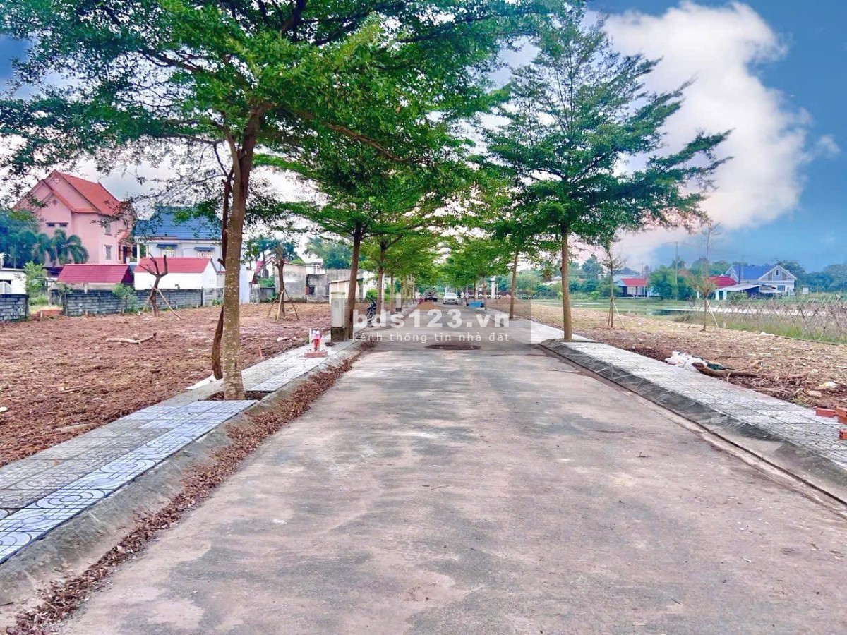 Bán lô đất nền dự án Tân Phú Trung, vị trí đẹp mua sinh lời cao