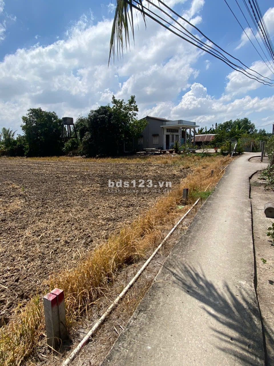 Bán 341 Đất Thổ Long Hoà Cần Đước Giá 2tr/m