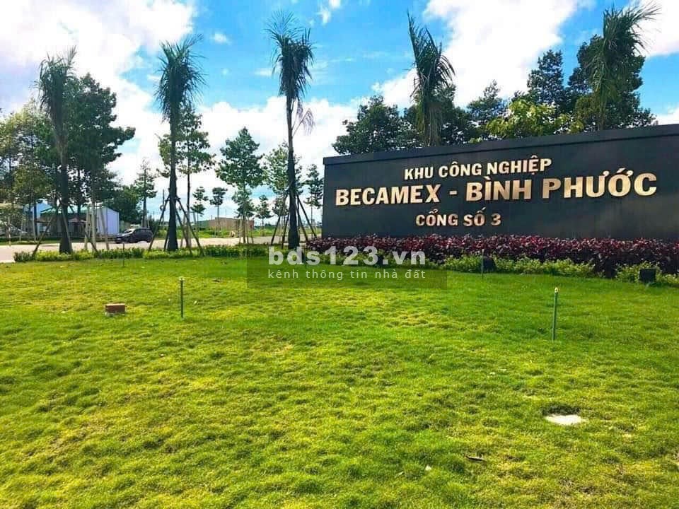 Bán gấp 2 lô Ấp 7 Xã Minh Lập, Chơn Thành mặt tiền nhựa DT756 (10X50) giá chính xác 480 triệu /S