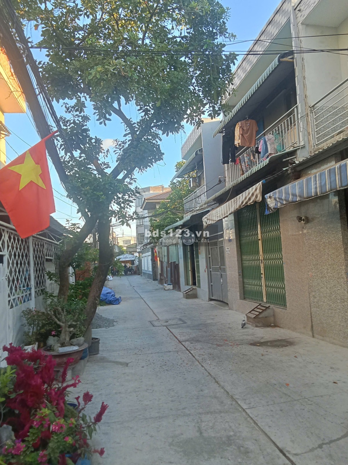 Chính chủ ngộp bank cần bán dãy trọ đang cho thuê