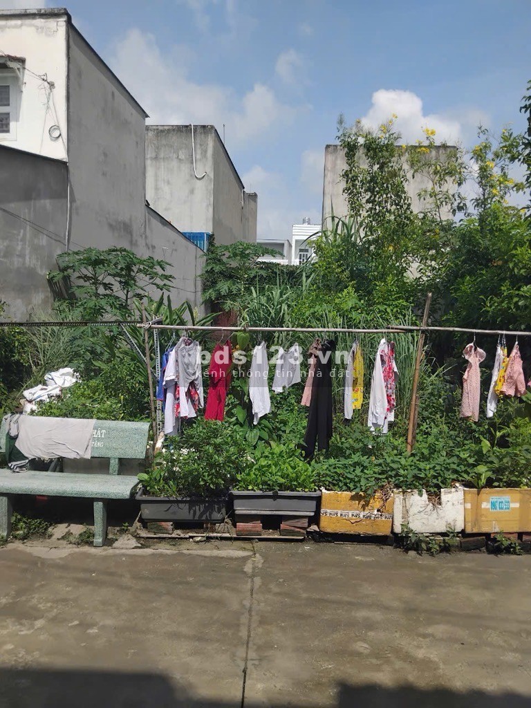 Đất Trống Hẻm xe hơi, đường Thạnh Xuân 24, Phường Thạnh Xuân quận 12