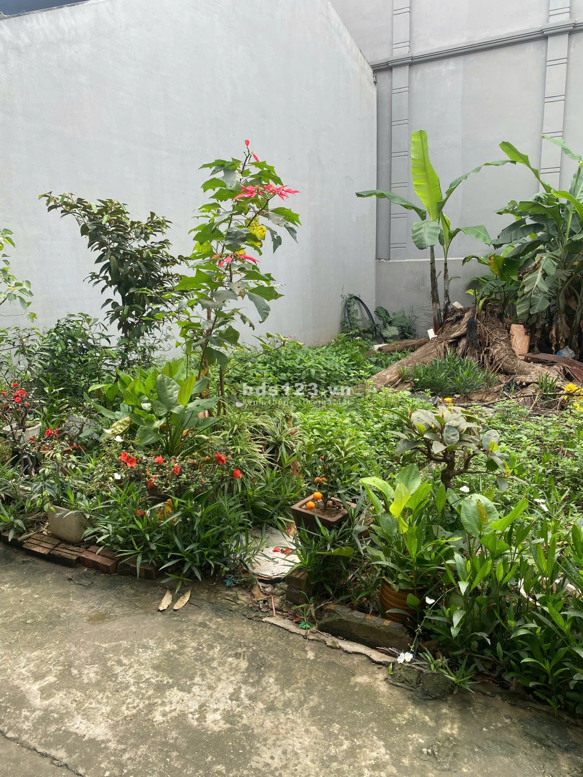 Hiếm - Đất Ngọc Thụy, Long Biên 45m2 chỉ 4.65 tỷ