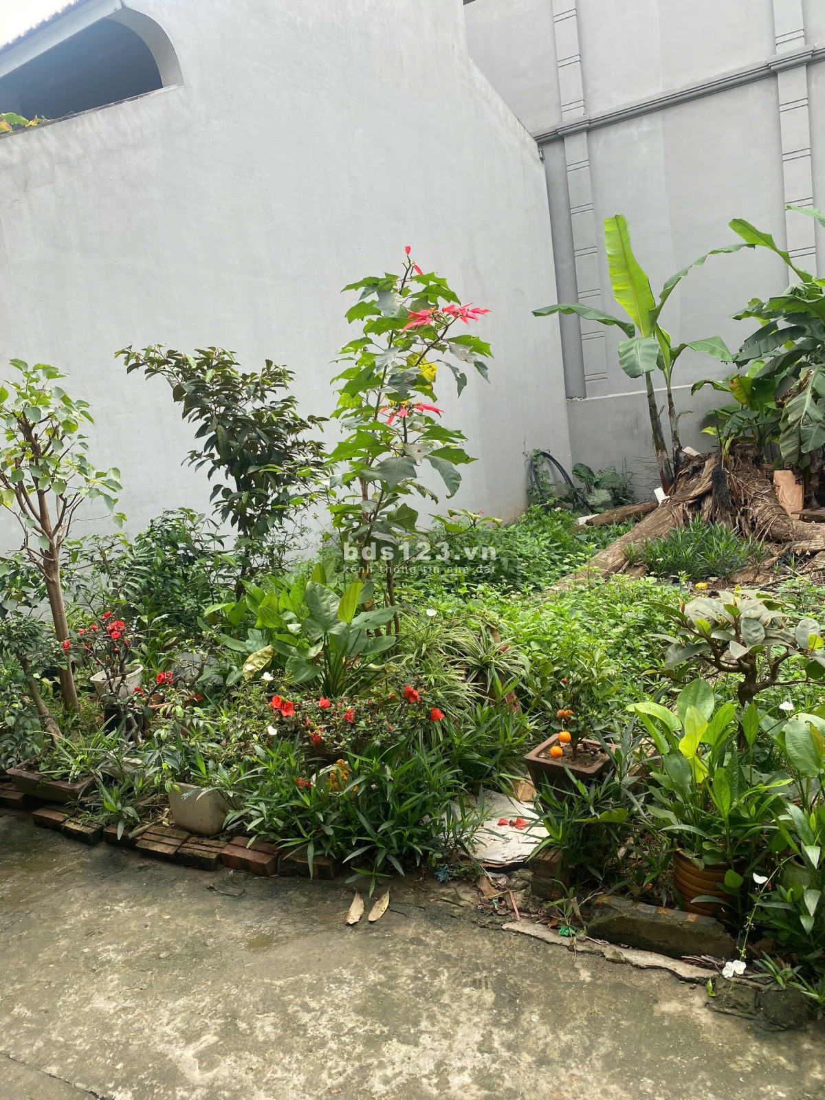 Hiếm - Đất Ngọc Thụy, Long Biên 45m2 chỉ 4.65 tỷ