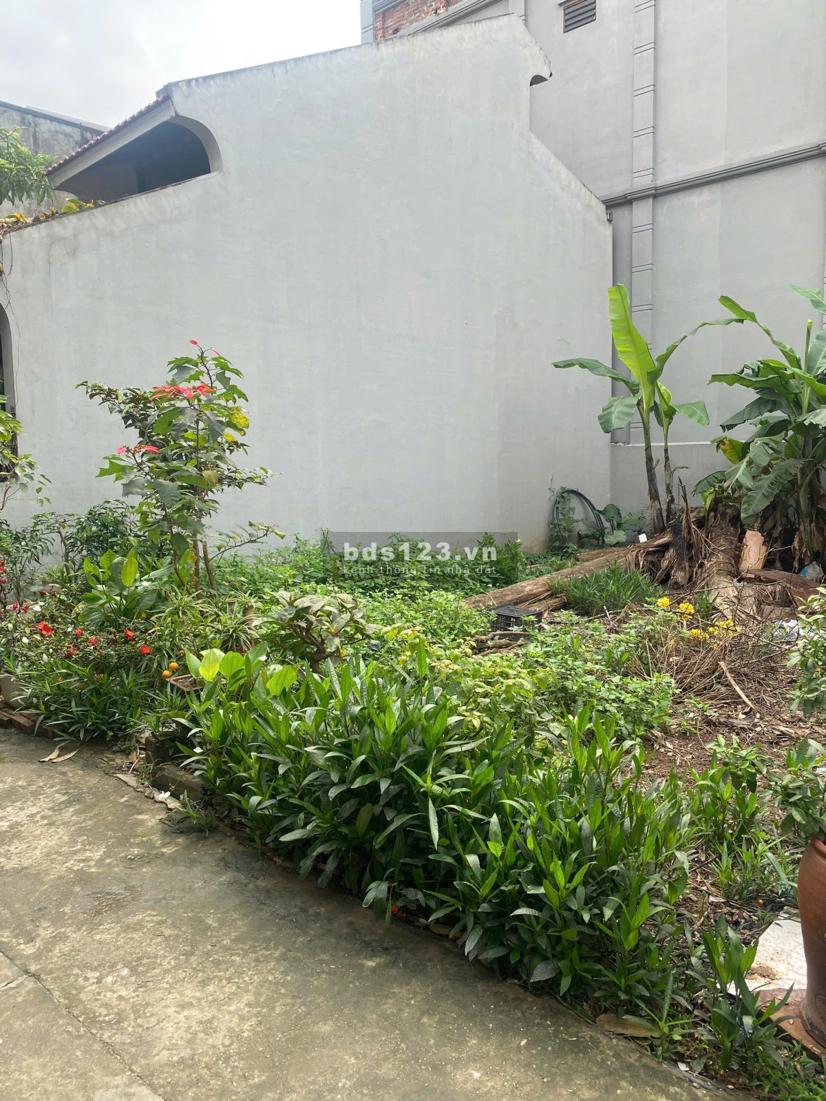 Hiếm - Đất Ngọc Thụy, Long Biên 45m2 chỉ 4.65 tỷ