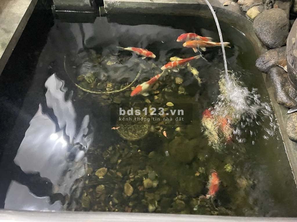 Biệt thự nhà vườn siêu hiếm Sài Đồng – Lô góc 3 mặt thoáng, chỉ 35.5 tỷ!