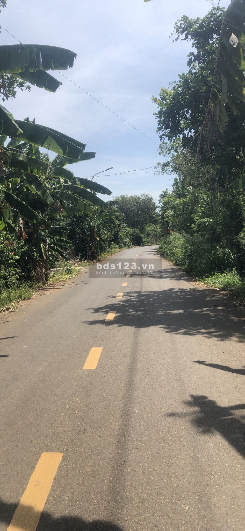 Bán đất gấp tại thị trấn Kim Long, Châu Đức