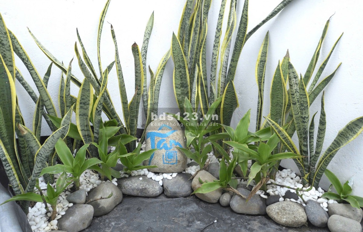 BBán nhà khu K1, cách trường Hoa Sen 500m. Giá tốt - tiện ích đầy đủ