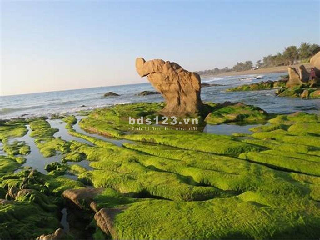 Sở hữu lô đất biển Tuy Phong, Bình Thuận – thổ cư 100% chỉ với 240 triệu!!!