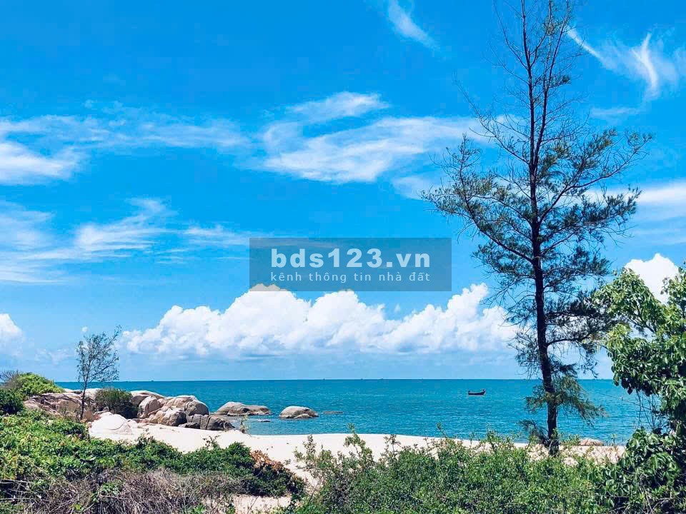 Chính chủ bán 2000m2 đất gần biển Bình Sơn, Quảng Ngãi 260 triệu sổ hồng